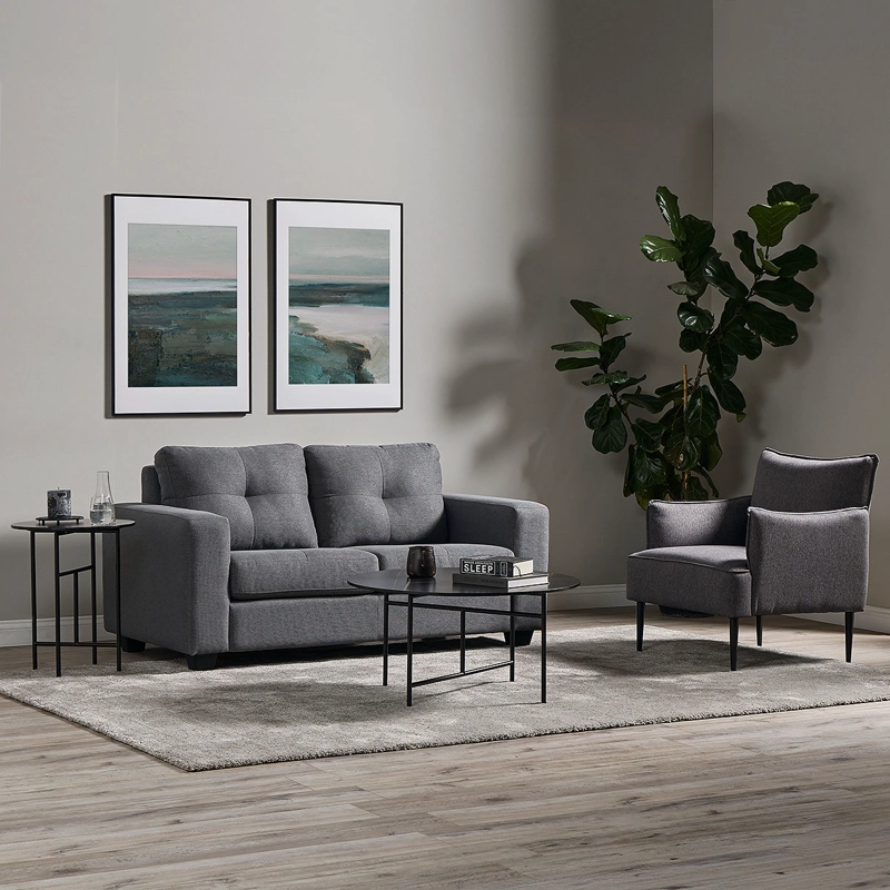 SOFA LARA 2 CUERPOS COLOR GRAFITO - 2