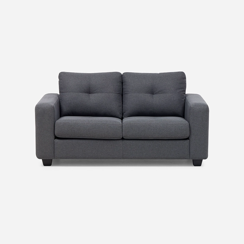 SOFA LARA 2 CUERPOS COLOR GRAFITO - 3
