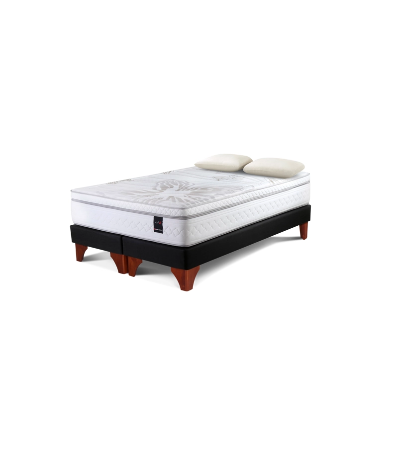 BOX SPRING ART 4 2 PLAZAS BD + ALMOHADAS MEMORY MAX - 1