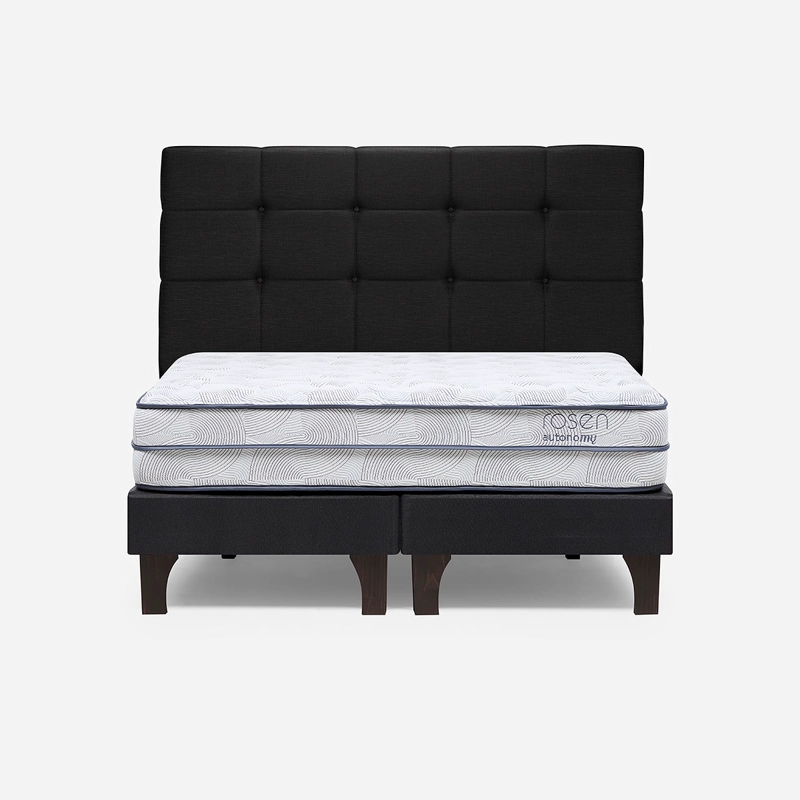 CAMA AUTONOMY SKY 2 PLAZAS BD + RESPALDO ISSEY - 1