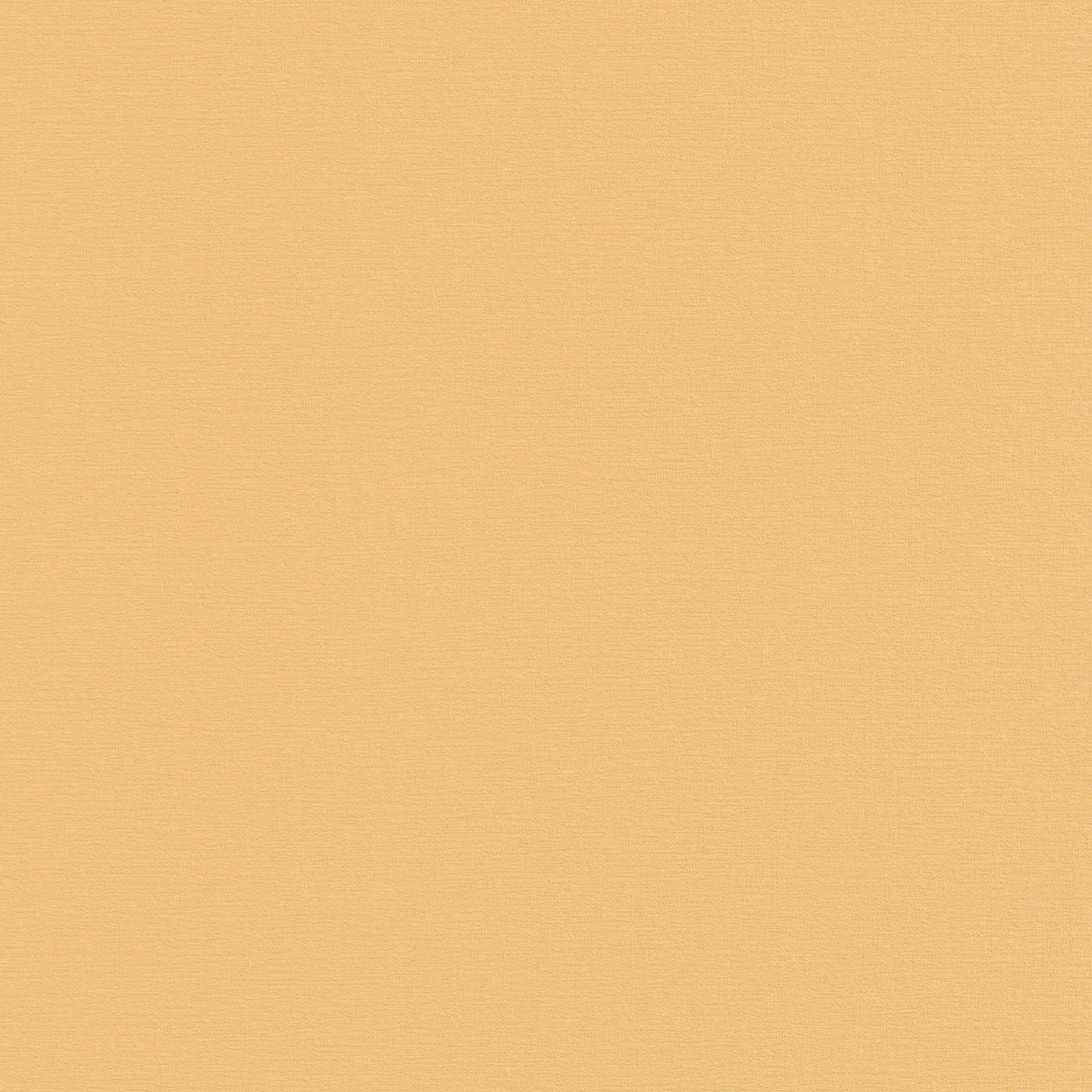 PAPEL MURAL GRANDECO 10 CM PHOENIX A 48904 (ROLLO) - 2