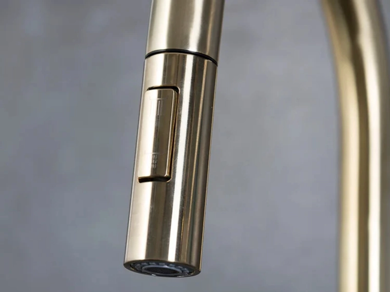 GRIFERIA GOLDEN EXTENSIBLE FDV - 8