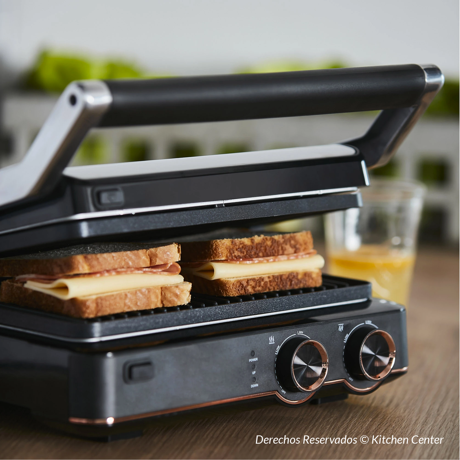 GRILL PANINI FDV OLIMPIA - 3