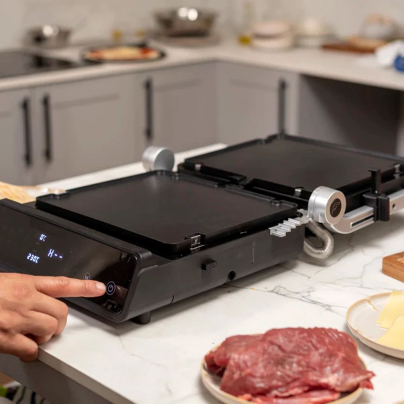 GRILL Y PANINI PETRA FDV - 9