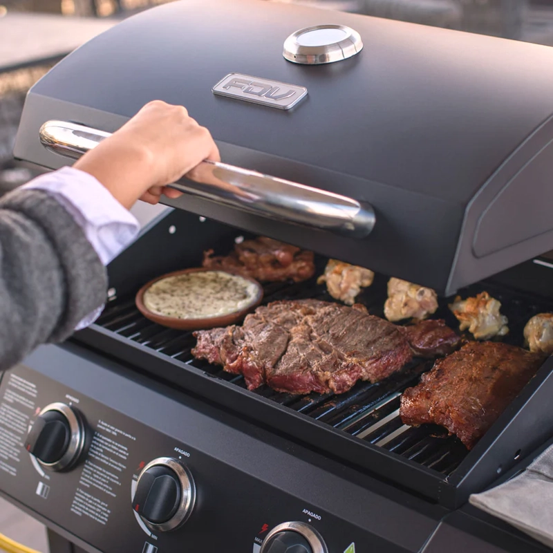 PARRILLA GAS ESSENCE BLACK 3Q FDV - 5
