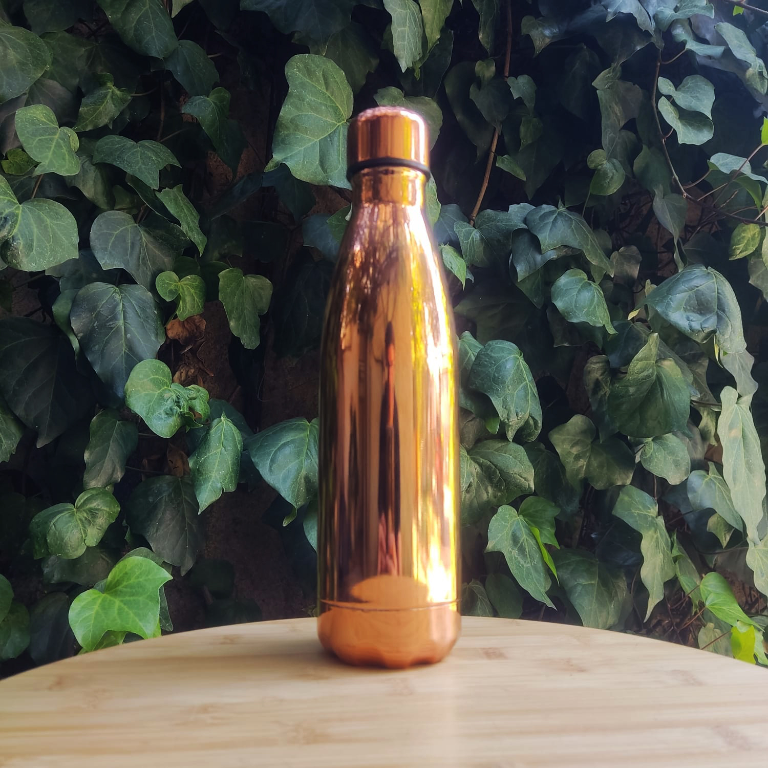 BOTELLA TERMICA COBRIZADA 500CC PERFECT CLASS - 4