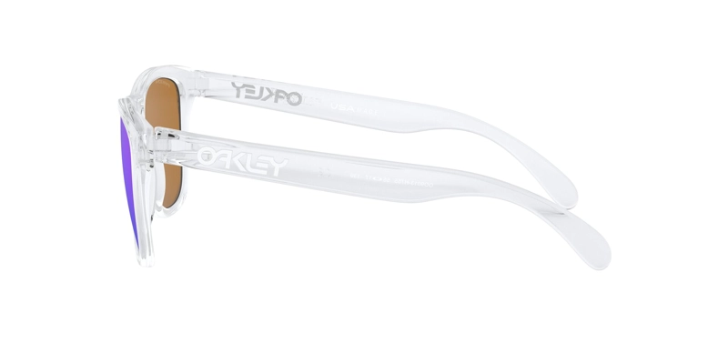 LENTES DE SOL OAKLEY FROGSKINS PRIZM - 3