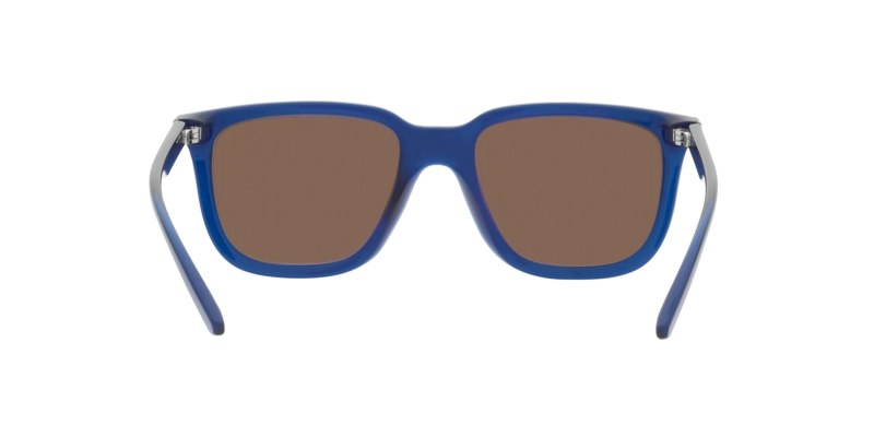 ARNETTE PLAKA - 5