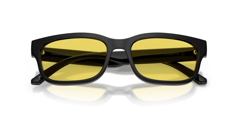 ARNETTE DEFYER AN4363 290085 55 - 4