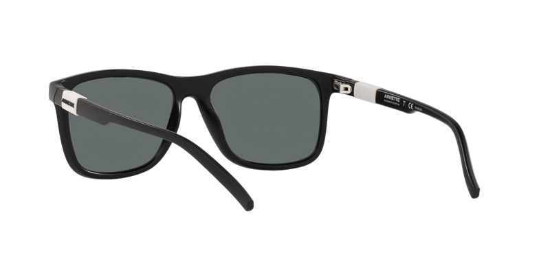 ARNETTE DUDE POLARIZADO - 4