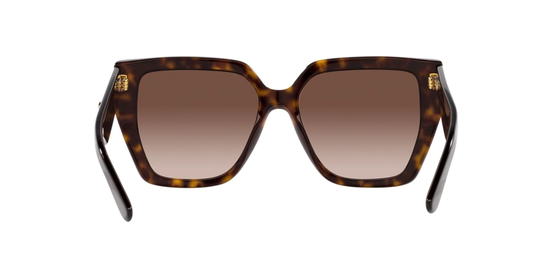 DOLCE & GABBANA DG4438 DG4438 502/13 55 - 4