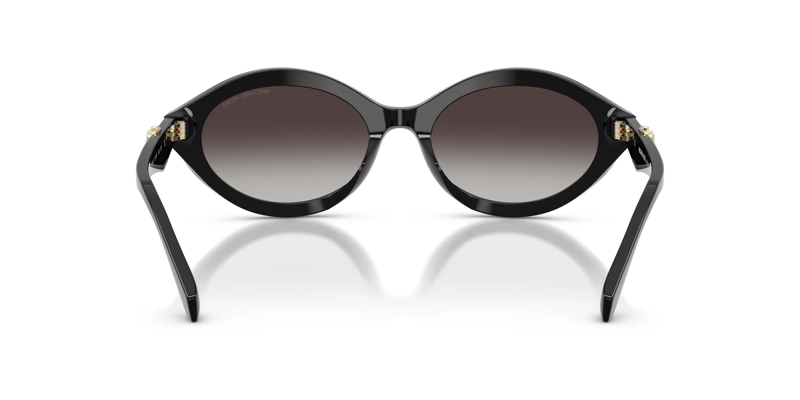 MICHAEL KORS CARLAZZO MK2257U 30058G 55 - 3