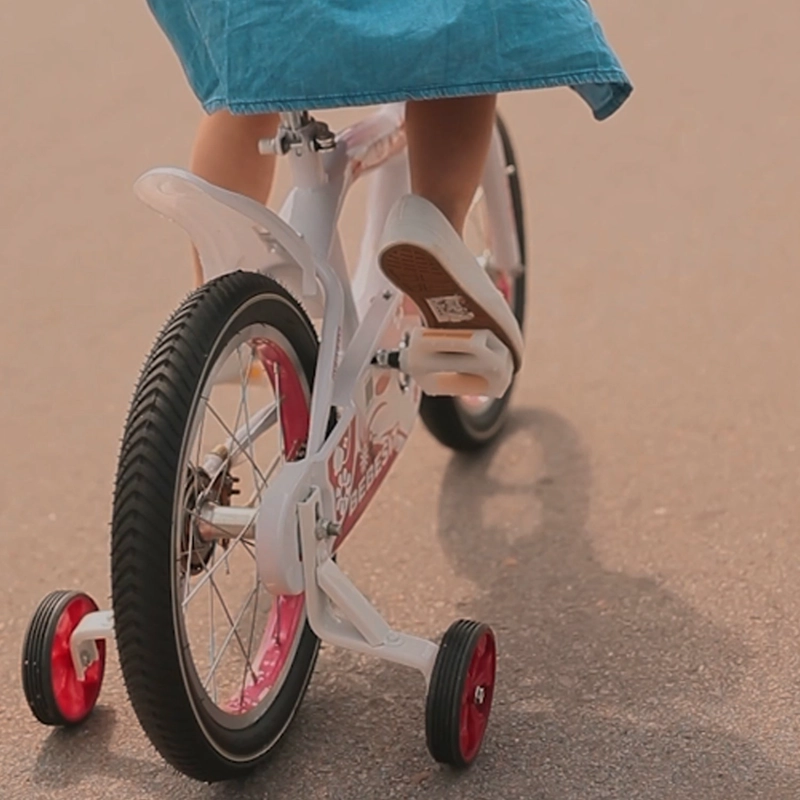 BICICLETA INFANTIL QUEEN ARO 16 ROSADA BEBESIT - 9