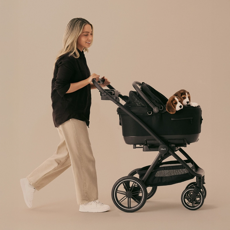 SILLA AUTO MASCOTAS MAEVE ISO6X ONYX - 7