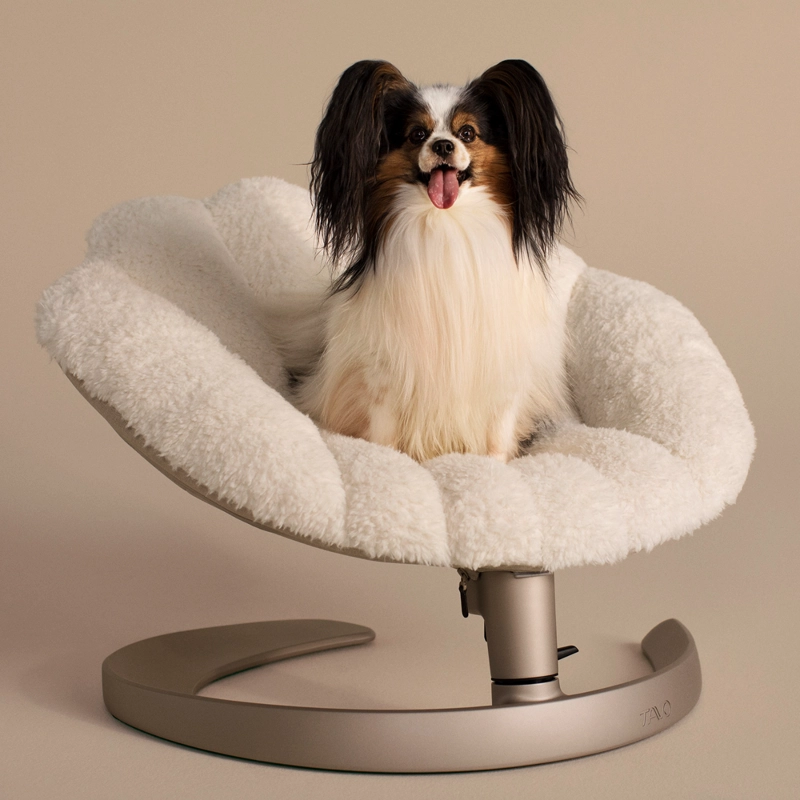 CAMA MASCOTA OSCILANTE SHELL LATTE - 7