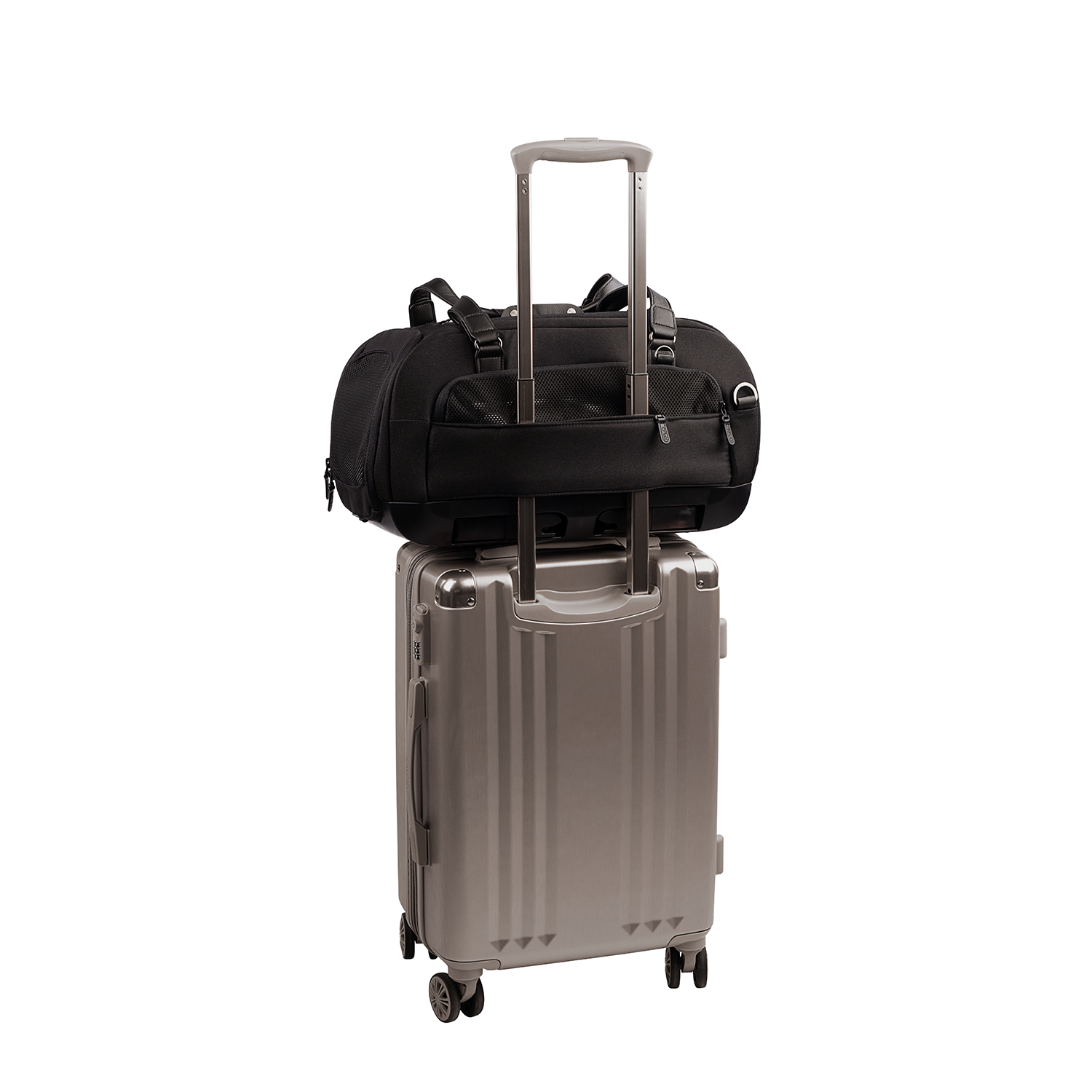 TRANSPORTE MASCOTA DUPREE II ONYX - 6