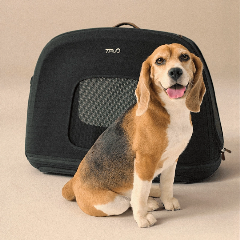 TRANSPORTE MASCOTA CRISPIN S ONYX - 8