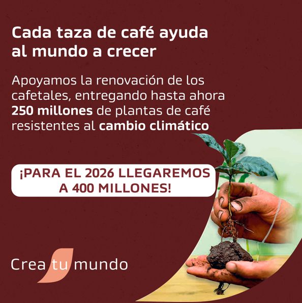 CAFÉ NESCAFÉ TRADICIÓN 400G - 4