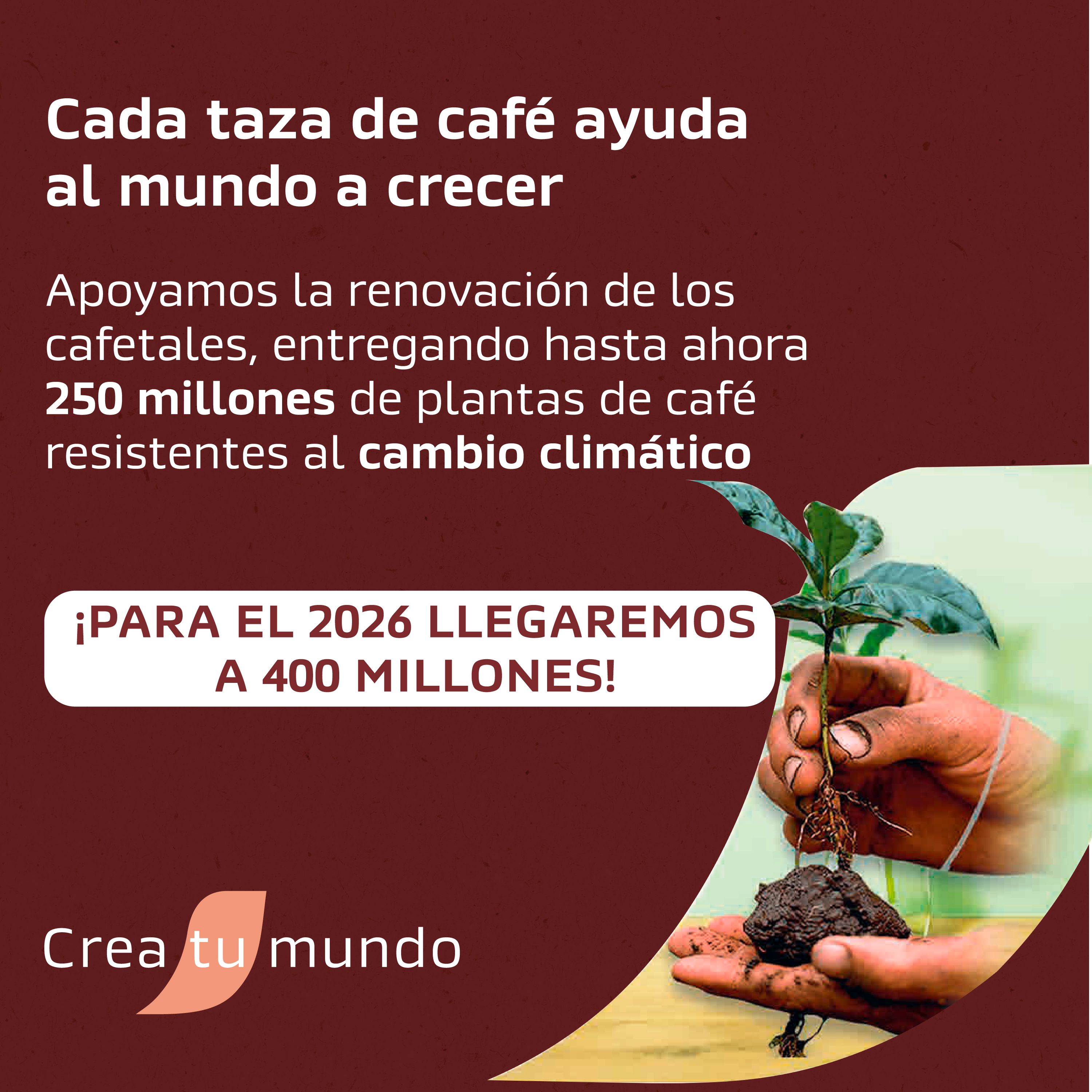 CAFÉ NESCAFÉ TRADICIÓN 170G - 4