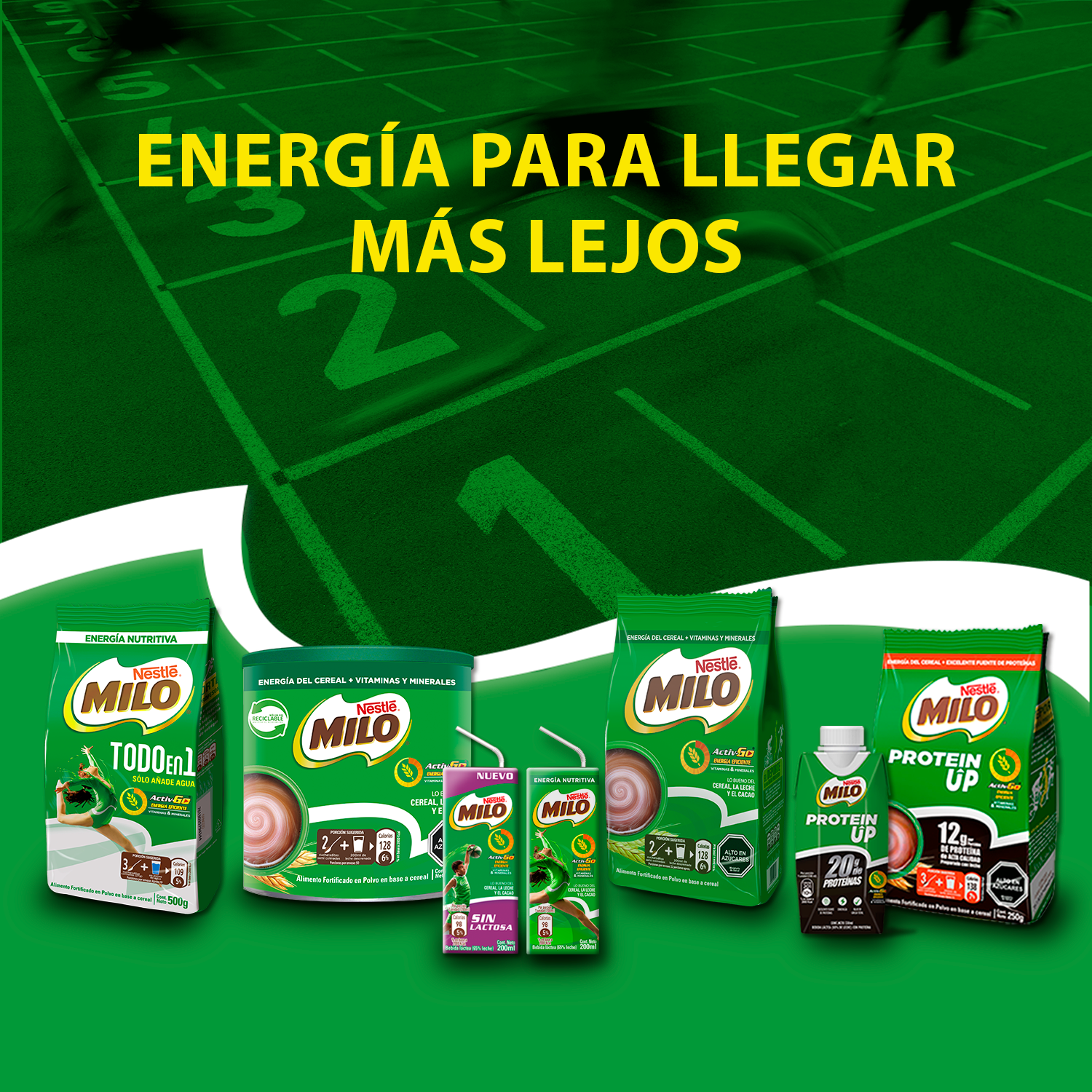 Pack 6 Leche con Chocolate MILO® Protein Up 330ml - 4