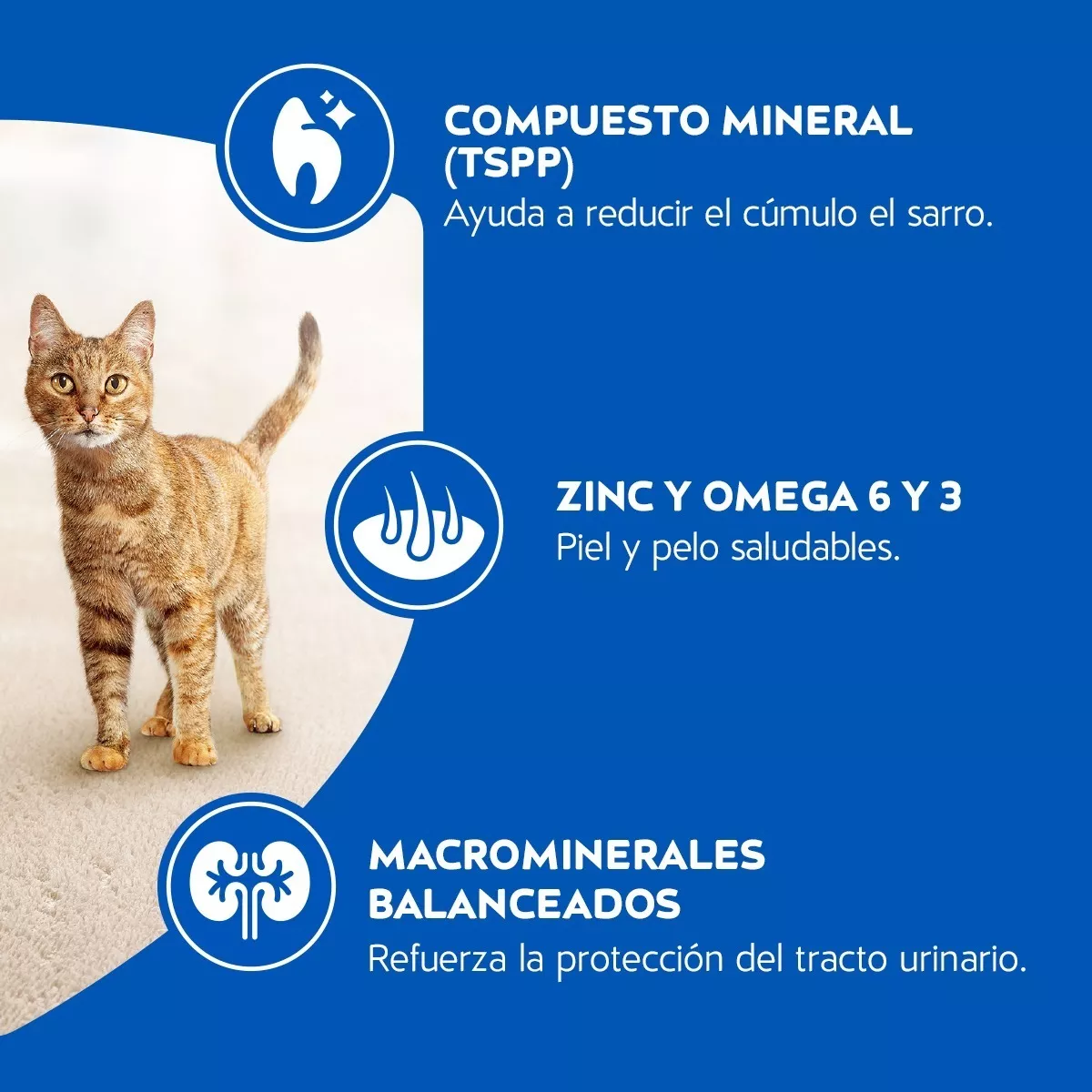 ALIMENTO SECO GATOS ADULTO CAT CHOW SABOR CARNE 3 KG - 4