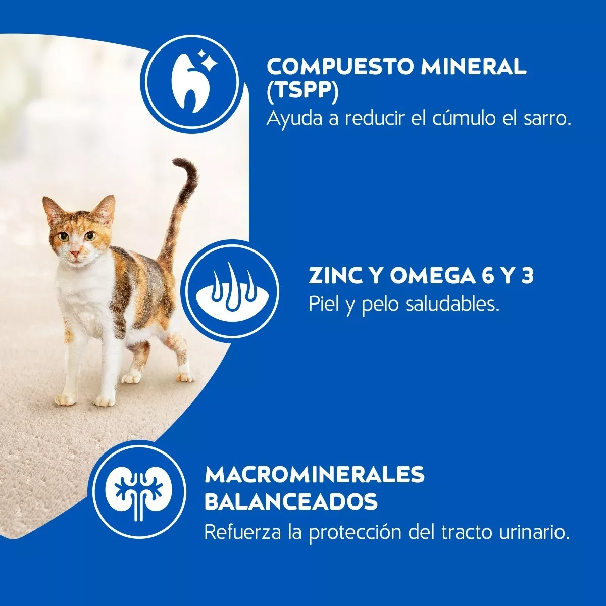 ALIMENTO SECO GATOS ADULTO CAT CHOW 3 KG DELIMIX - 4