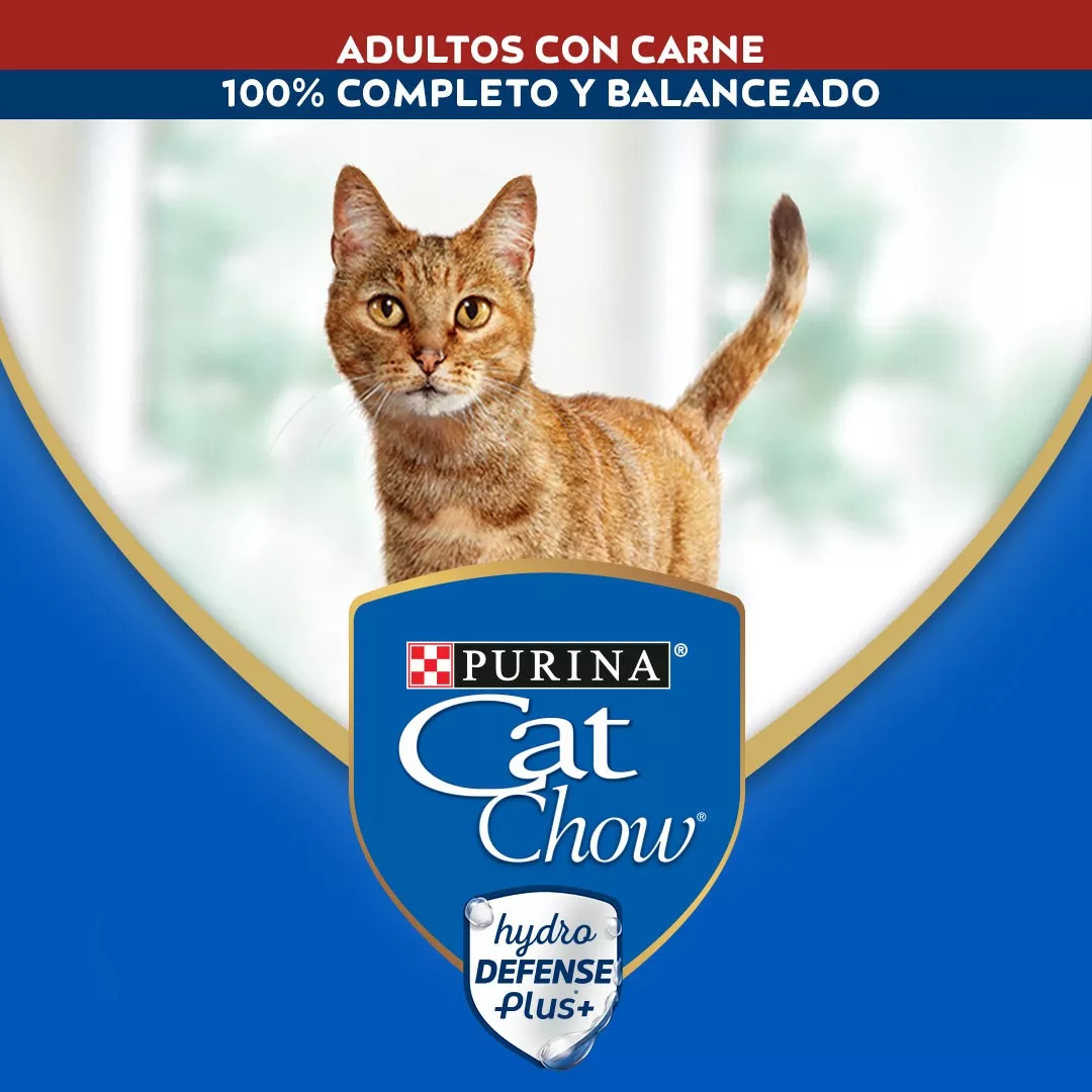 PACK CAT CHOW® ADULTOS CARNE 85 GR - 3