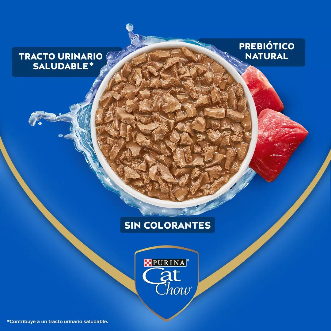 PACK CAT CHOW® ADULTOS CARNE 85 GR - 4