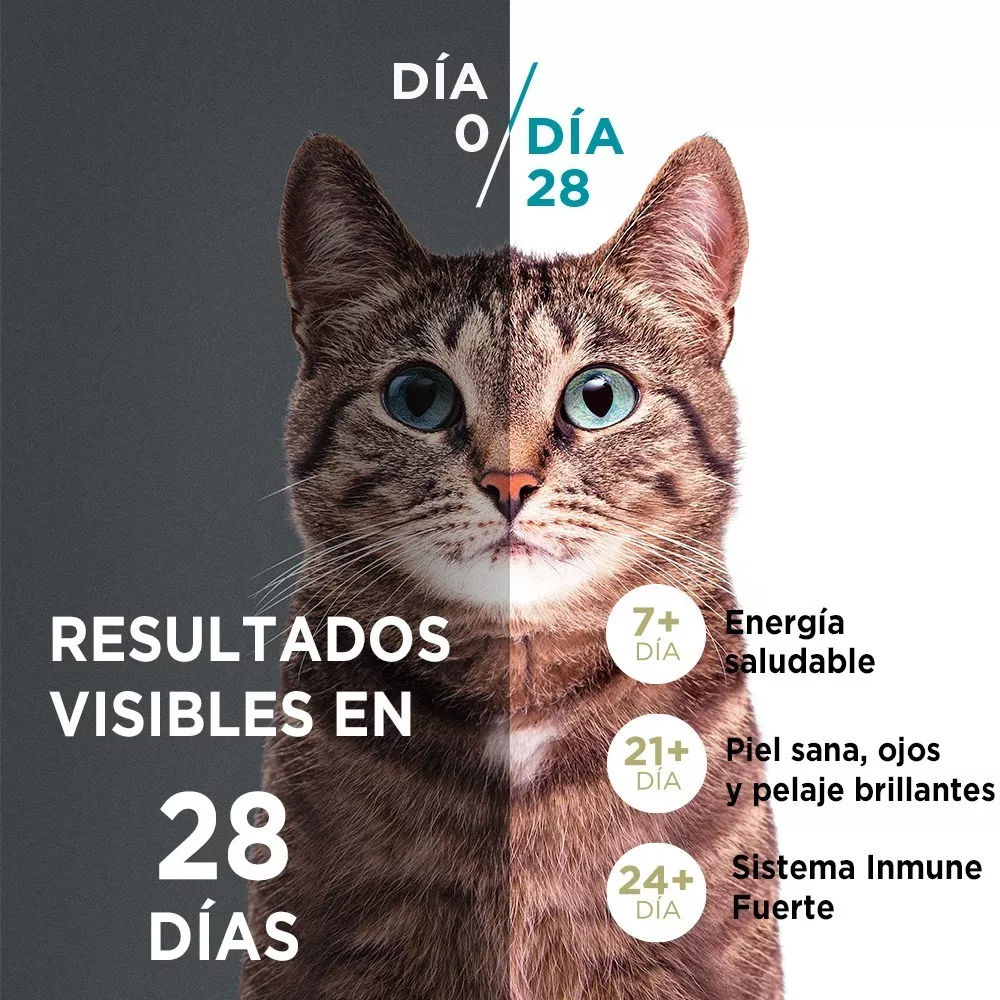 ALIMENTO SECO GATOS PURINA ONE SABOR POLLO SALMÓN 6 KG ESTERILIZADO - 4