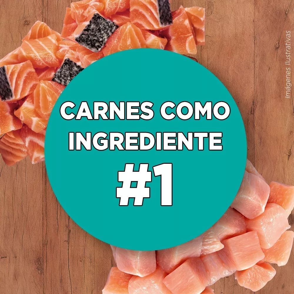 ALIMENTO SECO GATOS PURINA ONE SABOR POLLO SALMÓN 6 KG ESTERILIZADO - 5