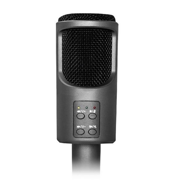 MICROFONO AUDIO PRO CONDENSADOR HOME STUDIO USB AUDIOPRO AP02030 - 2