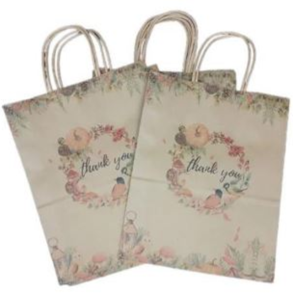 PACK X12 BOLSA REGALOS 22 X 27 X 11 CM - 1