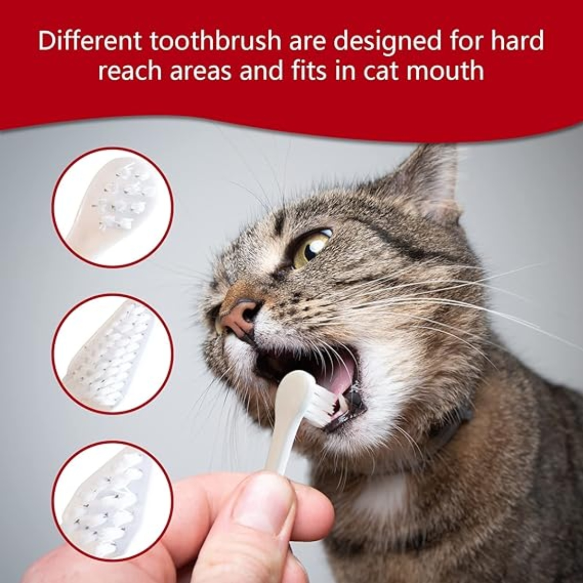 SET CUIDADO BUCAL GATOS OEM SABOR QUESO BIOLINE - 3