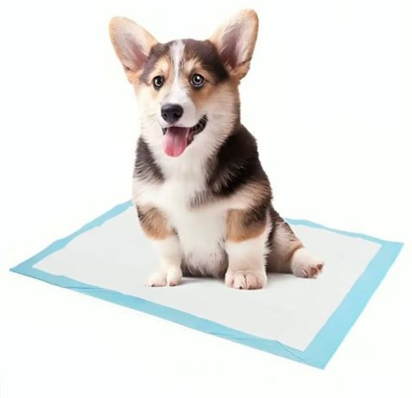 SABANILLAS DE ENTRENAMIENTO PERROS GATOS OEM PAÑALES TIPO 20 UNIDADES MASCOTAS 90 X 60 CM - 1
