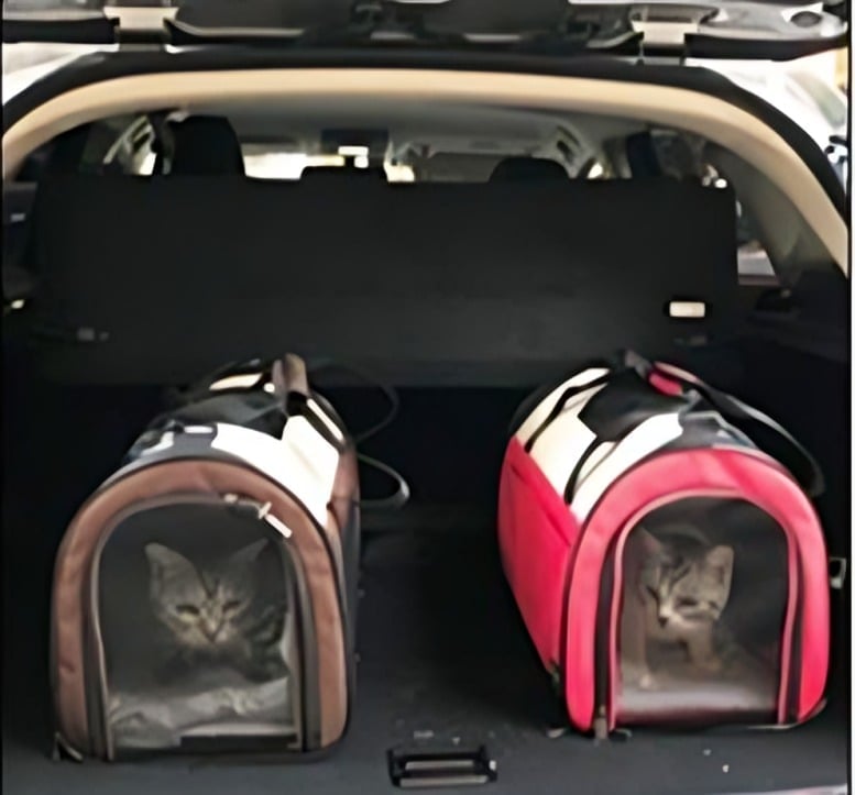 BOLSO TRANSPORTÍN PARA MASCOTAS - 2