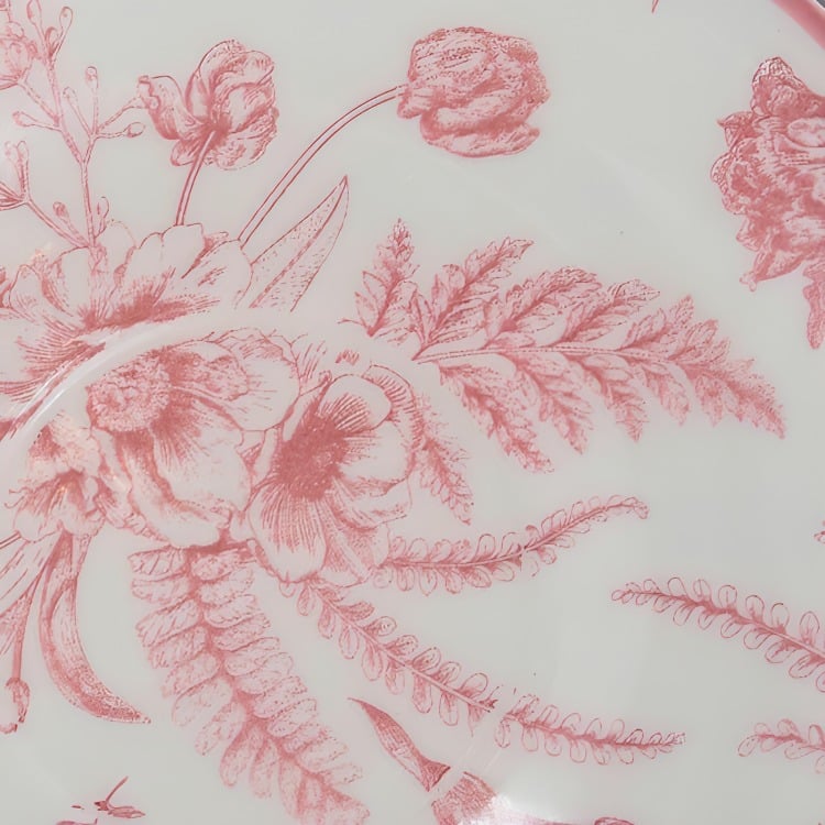 SET X 2 PLATO SOPA ENSALADERA 24 CM ROSE - 1
