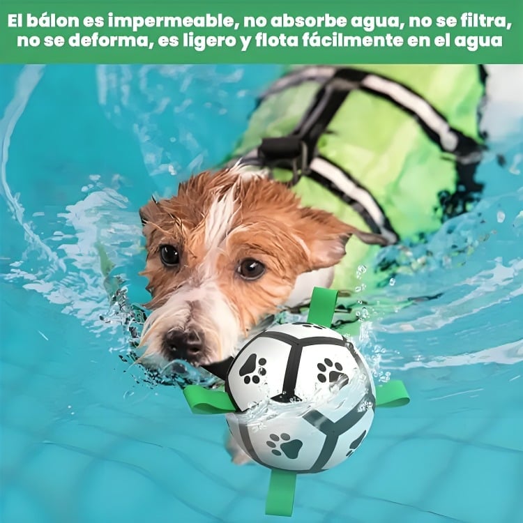 PELOTA PARA PERRO CON AGARRE JUGUETE PERRO PELOTA 15CM - 2