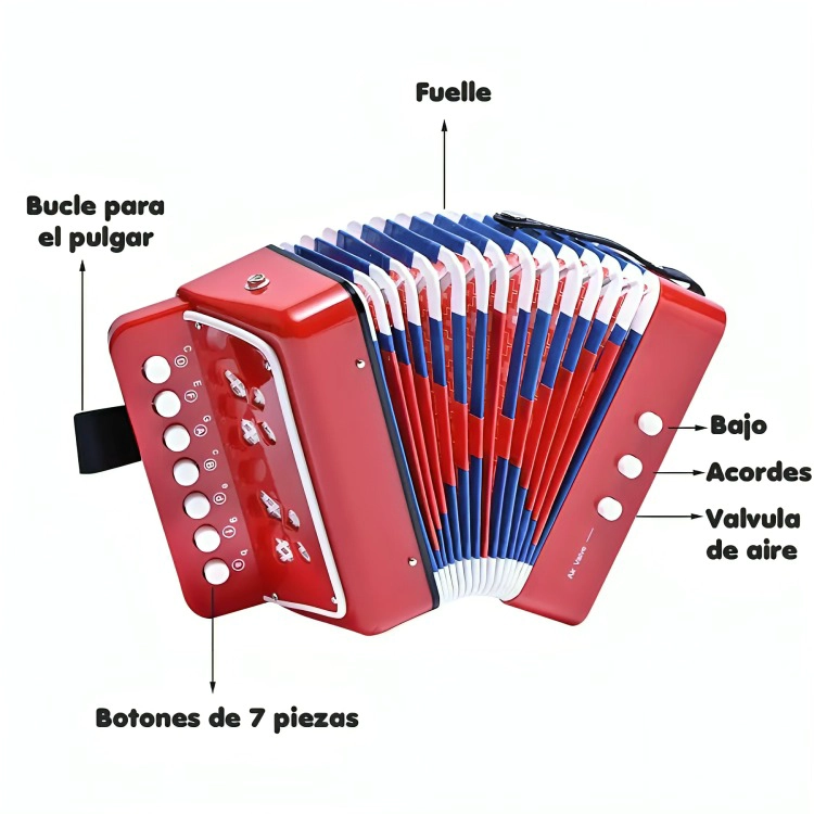 MINI ACORDEON DE JUGUETE PARA NIÑOS 7 NOTAS - 1