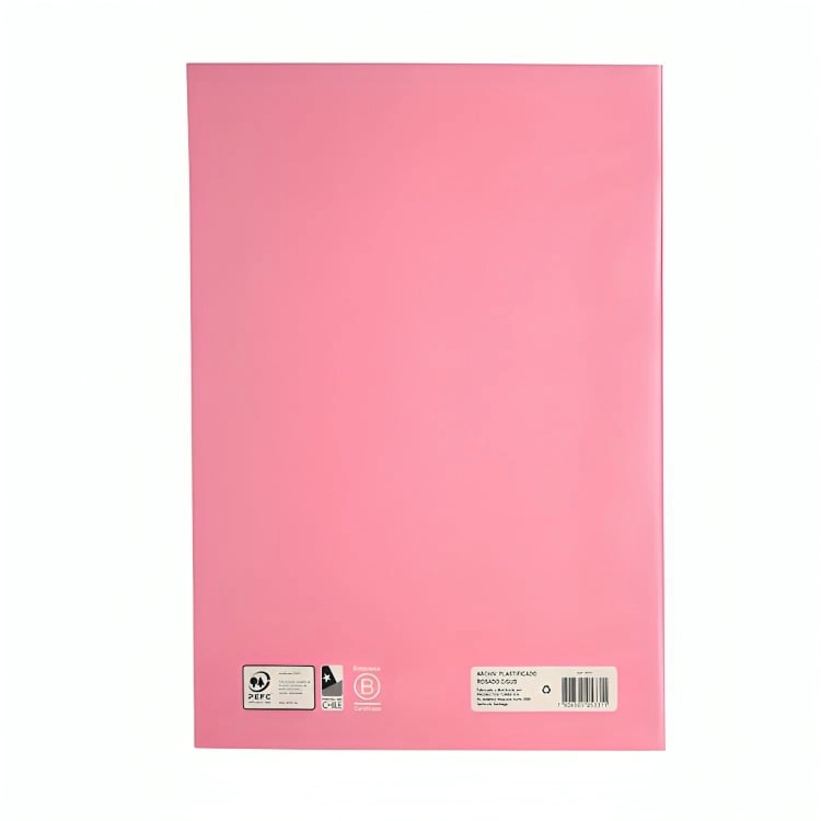 PACK 4 ARCHIVADOR PLASTIFICADO CON GUSANO / ROSADO – TORRE - 1