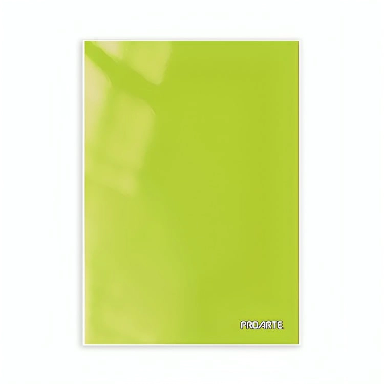 PACK 4 CARPETA CON GUSANO / VERDE CLARO – PROARTE - 2