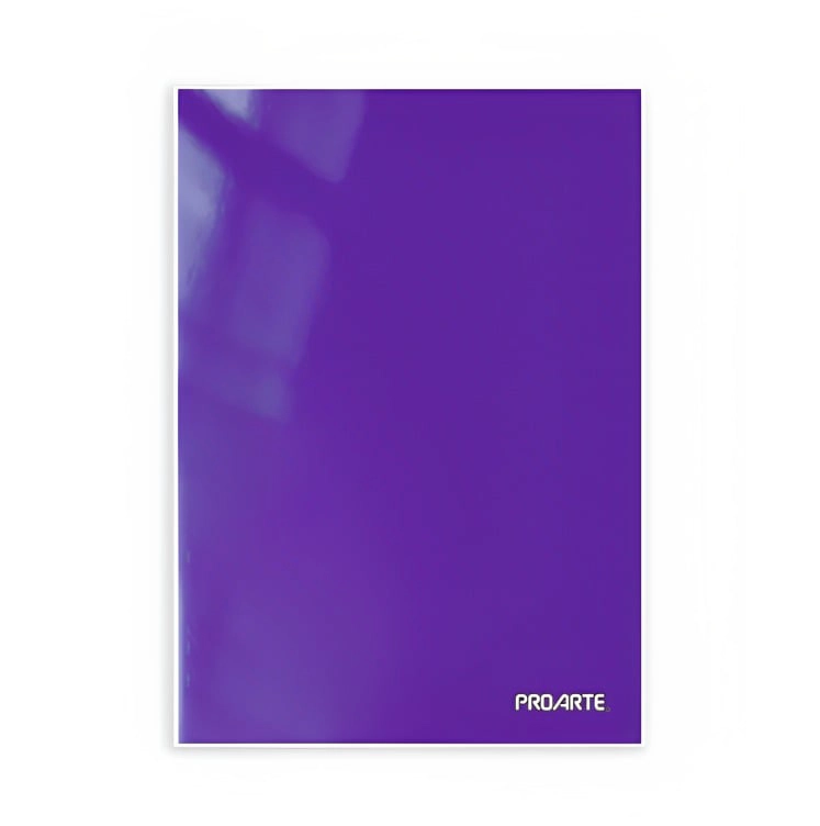 PACK 4 CARPETA CON GUSANO / VIOLETA – PROARTE - 1