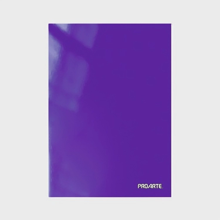 PACK 4 CARPETA CON GUSANO / VIOLETA – PROARTE - 2