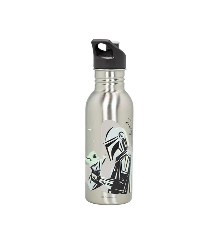 BOTELLA METALICA 600ML DDP SW - 2