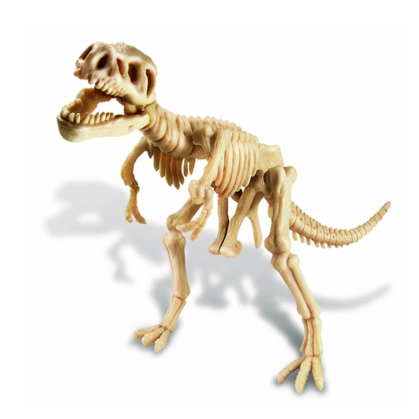DINOSAURIO REX EXCAVA - 2