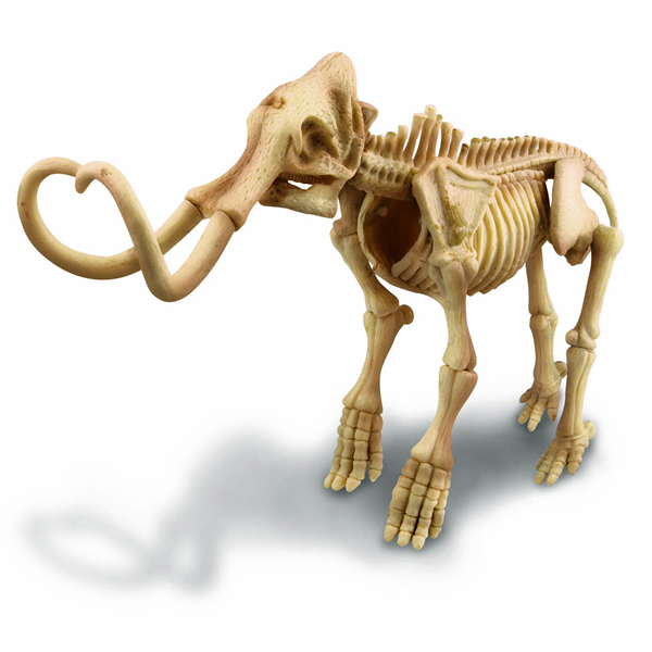 DINOSAURIO MAMUT EXCAVA - 2