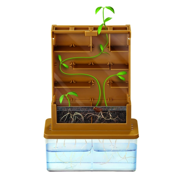 CIENCIA CRECE PLANTA - 2