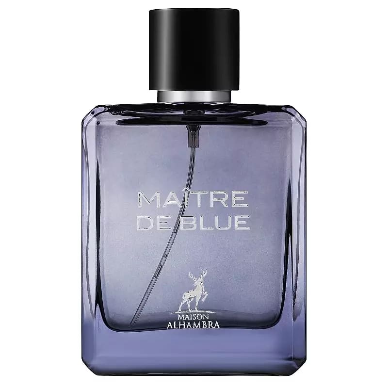 PERFUME MAISON MAITRE DE BLUE HOMBRE EDP 100 ML - 1