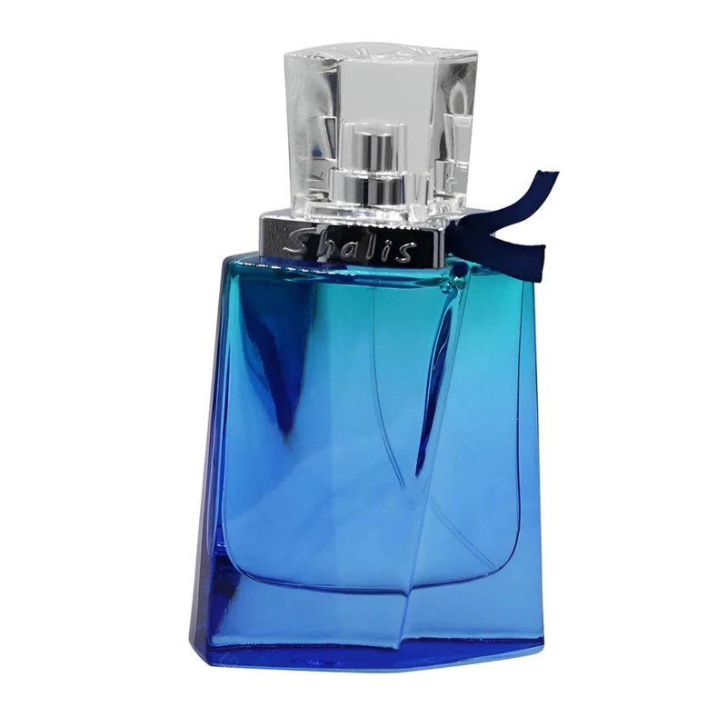 REMY MARQUIS SHALIS MAN EDT 100ML HOMBRES - 1