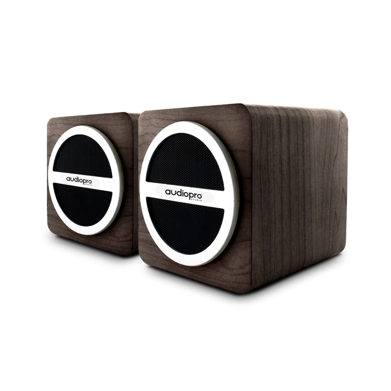 PARLANTES BLUETOOTH AUDIO PRO PORTATIL DBLUE CON ENTRADA SD/USB/ RADIO FM. BLACK - 2