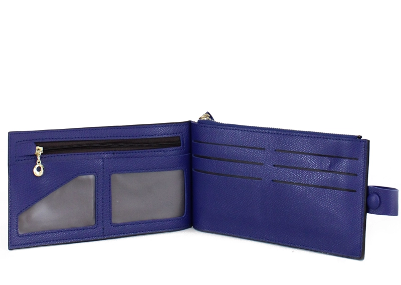 BILLETERA TARJA AZUL - 3